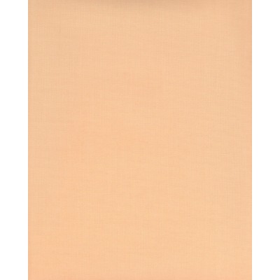 Ролеты тканевые Ара цвет оранжевый 2035