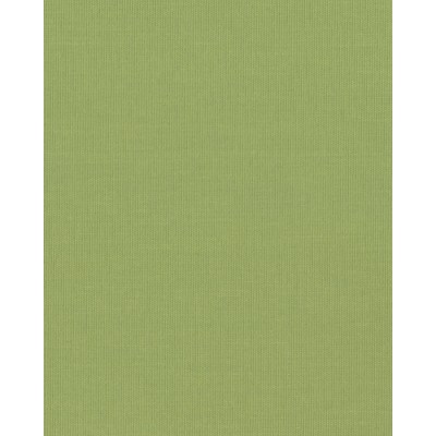 Ролеты тканевые Ара цвет зеленый 1058