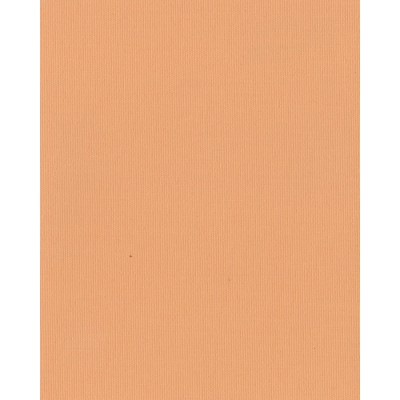 Жалюзи японские ткань Ара цвет персиковый 1051